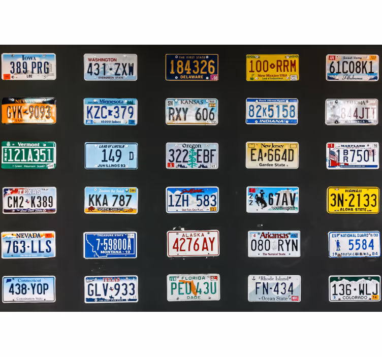 Mural de vehículos placas de matrícula coloridas - TenVinilo