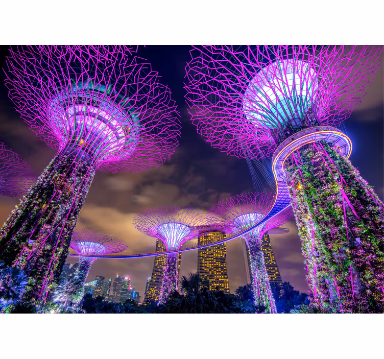 Fotomural ciudad Hermosas luces de la ciudad de singapur - TenVinilo
