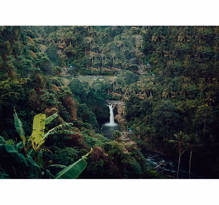 Fotomural de bosque Cascada amazónica - TenVinilo