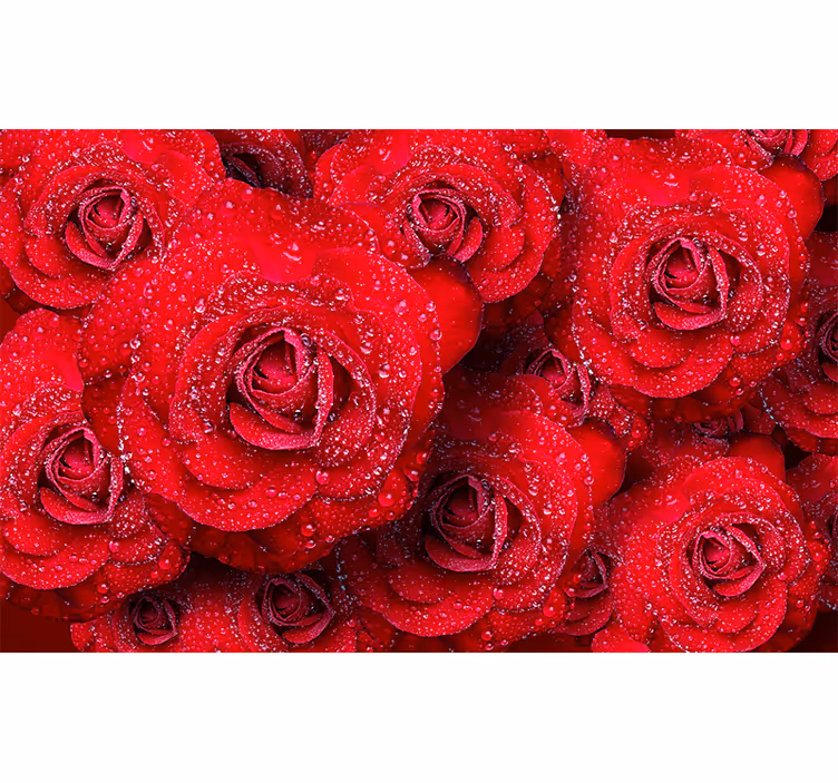 Mural de rosas rosas rojas en flor - TenVinilo