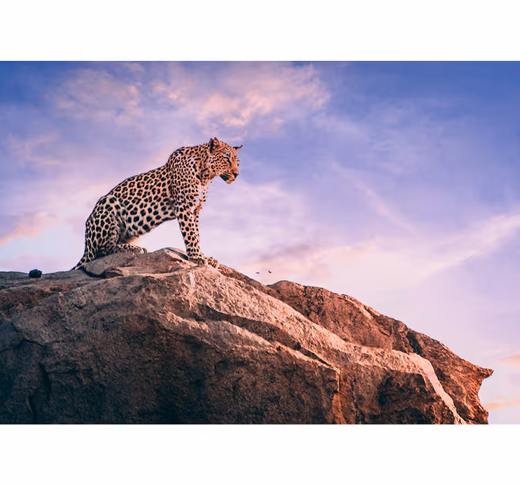 Fotomural animale Puesta de sol de leopardo - TenVinilo