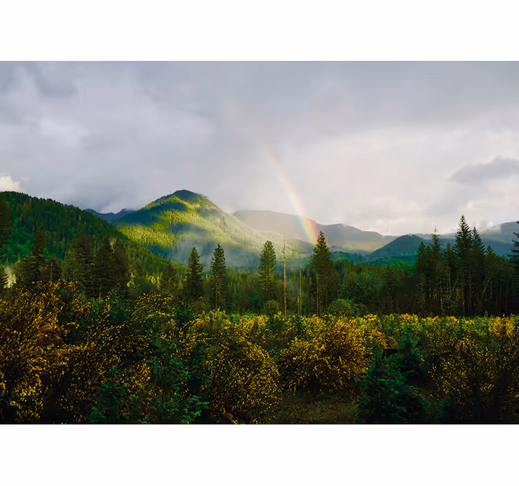 Fotomural naturaleza Paisaje con arcoiris - TenVinilo