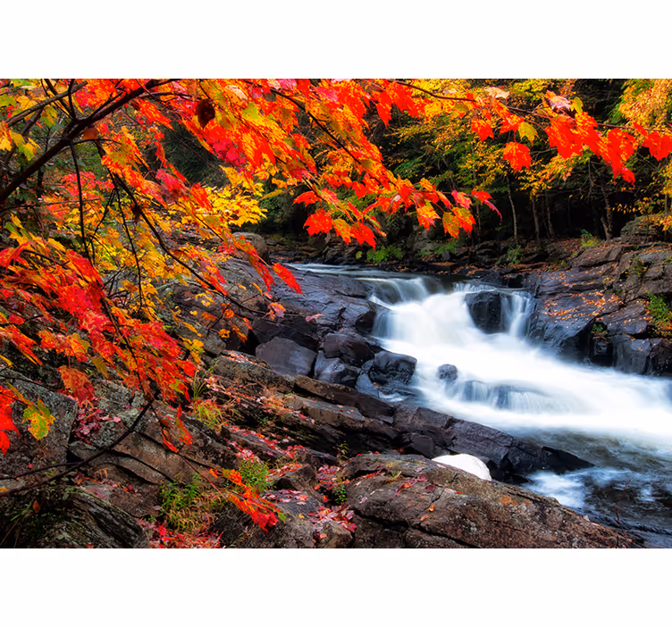 Fotomural de cascada Paisaje de otoño con hojas - TenVinilo