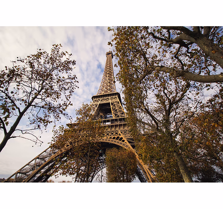 Fotomural de París París con el jardín - TenVinilo