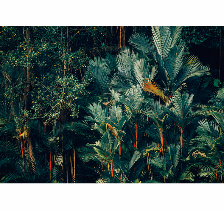 Fotomural de arboles Bosque y verde - TenVinilo