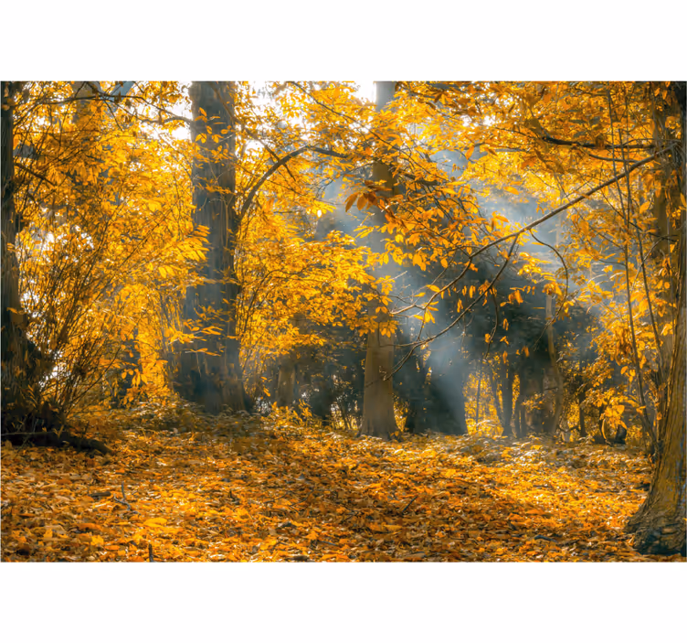 Fotomural naturaleza Otoño de oro - TenVinilo