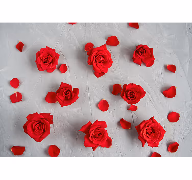 Mural de flores pétalos de rosa rojos - TenVinilo