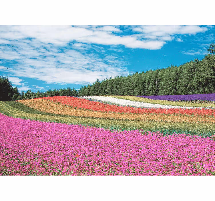 Mural de flores paisaje floral vibrante - TenVinilo