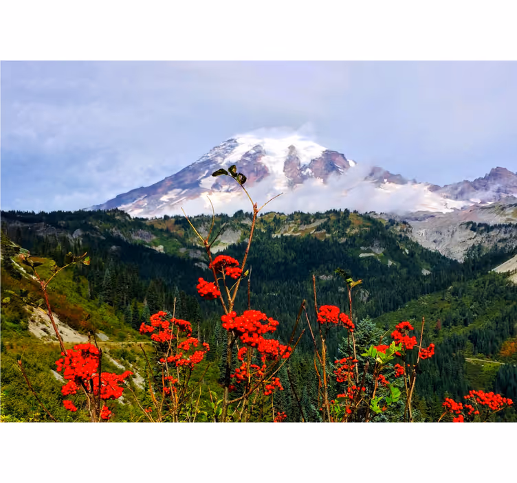 Fotomural flores Montaña y flores rojas - TenVinilo