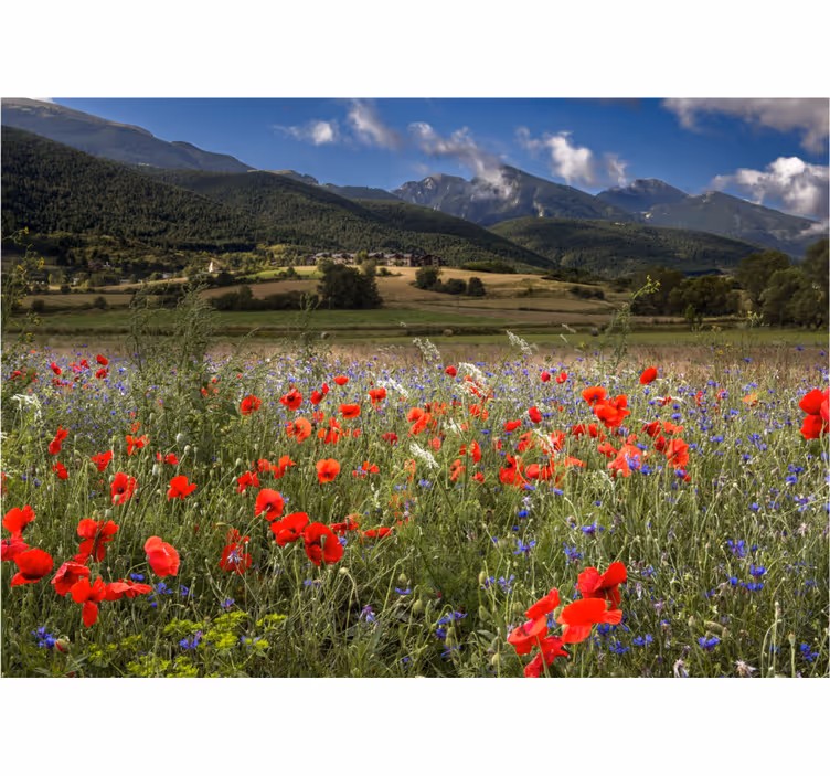 Fotomural flores Bonito campo de pradera con flores - TenVinilo