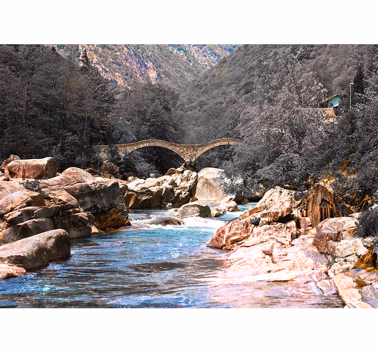 Fotomural naturaleza Río en el bosque con un puente de piedra - TenVinilo