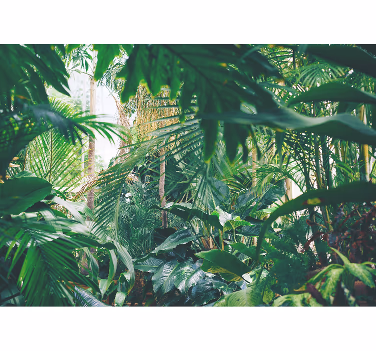 Mural de selva oasis tropical exuberante - TenVinilo