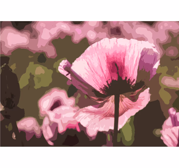Mural amapolas flor de amapola rosa - TenVinilo