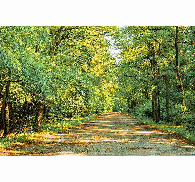 Fotomural naturaleza Bosque verde en un día soleado - TenVinilo