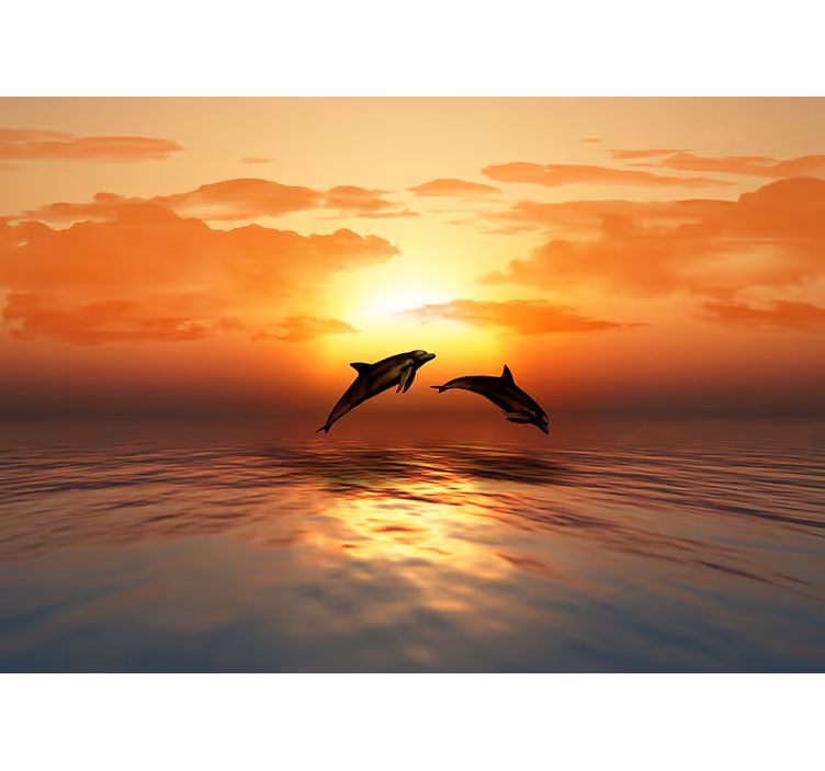 Mural de animales delfines saltando al atardecer - TenVinilo