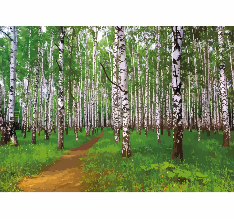 Mural de naturaleza sendero del bosque de abedules - TenVinilo