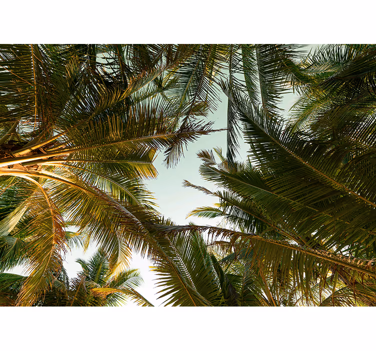 Mural de naturaleza dosel de palmas tropicales - TenVinilo