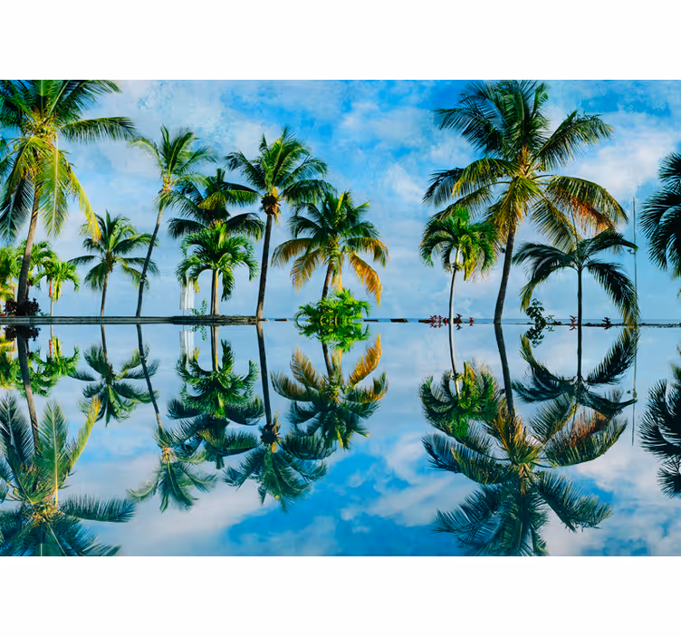 Fotomural de arboles Reflejo de agua de la palma de coco - TenVinilo