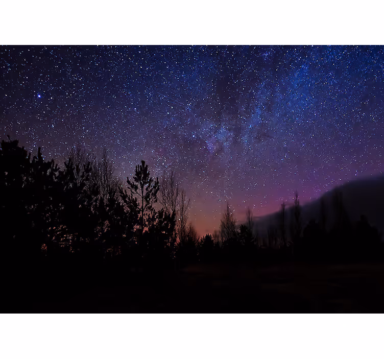 Mural para salón Estrellas en el bosque - TenVinilo
