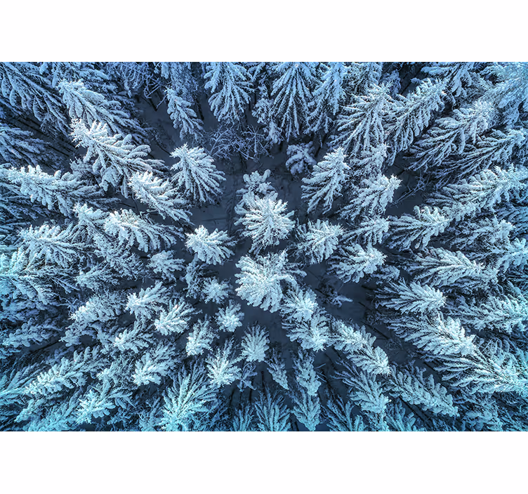 Fotomural de arboles Hermosos pinos nevados - TenVinilo