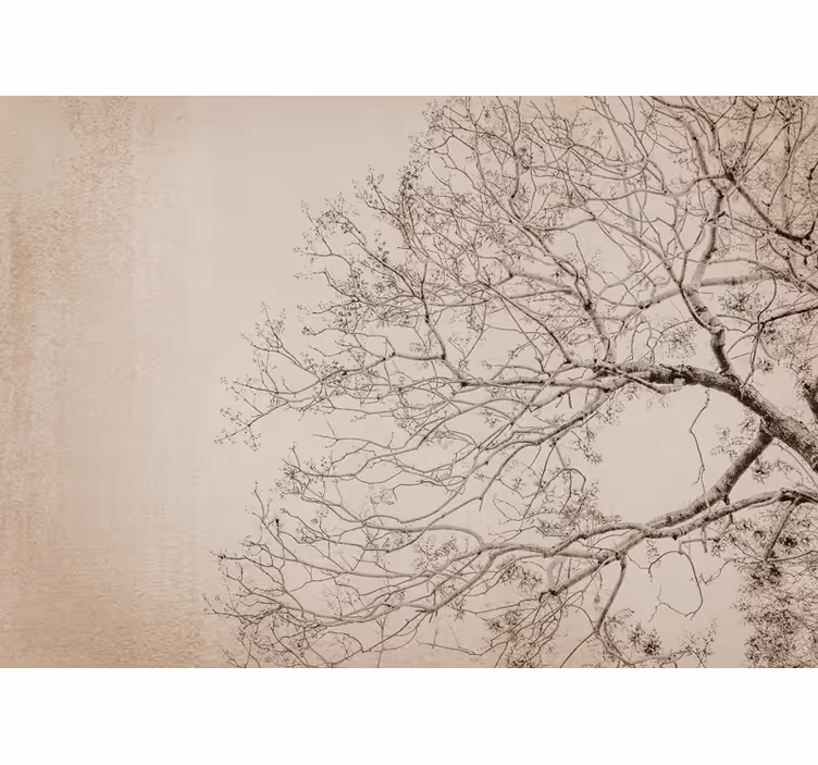Fotomural moderno Estilo de elemento floral "japandi" - TenVinilo