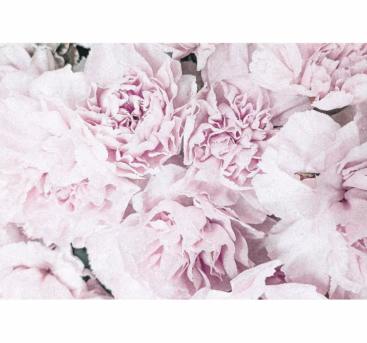 Mural de flores flores en rosa suave - TenVinilo