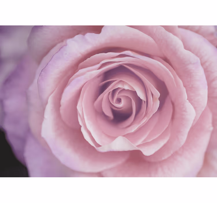 Mural de flores rosa pink blossom - TenVinilo