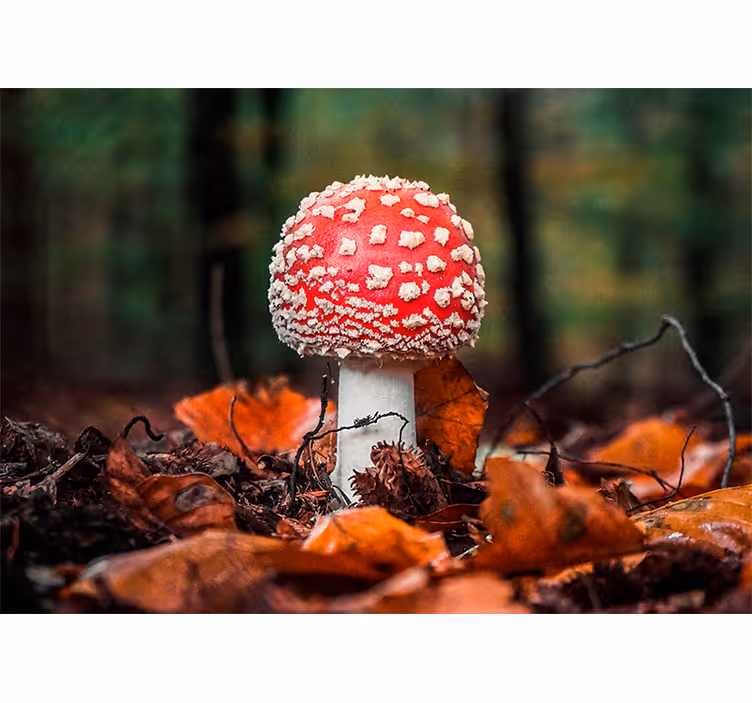 Fotomural naturaleza Esporas de setas rosadas - TenVinilo