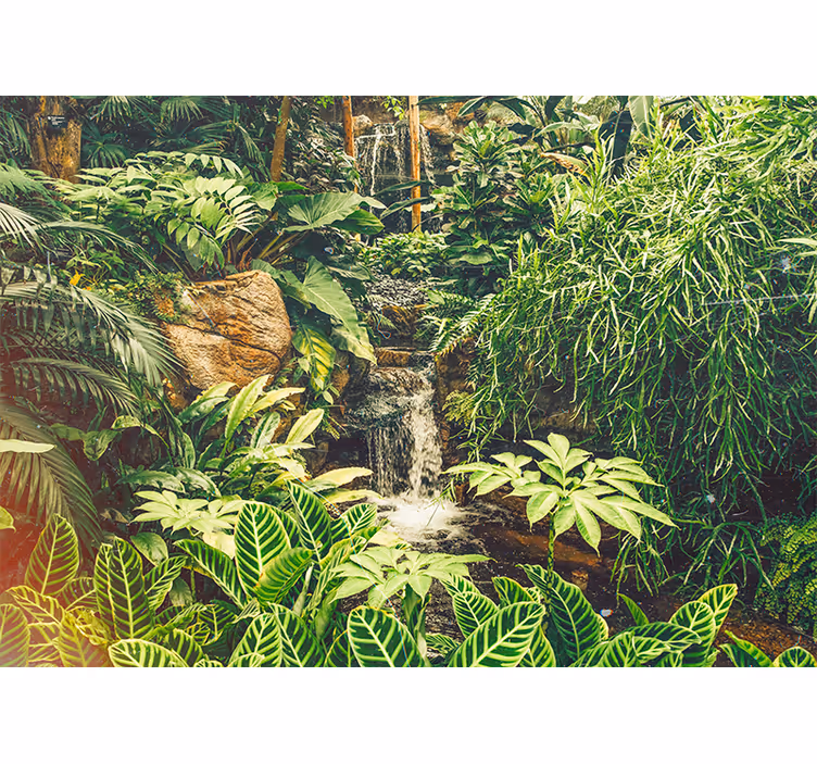 Fotomural de bosque Hermoso verde tropical - TenVinilo