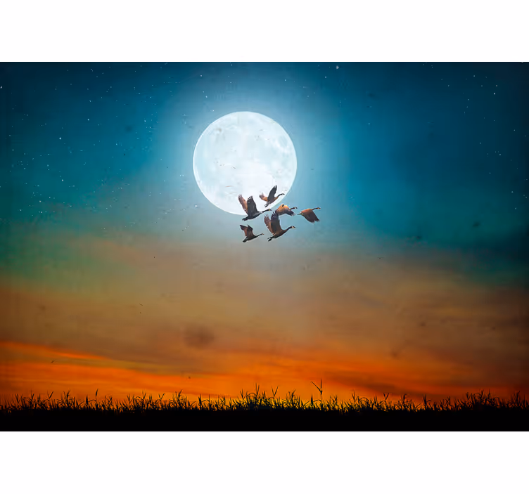 Mural de naturaleza cielo nocturno estrellado - TenVinilo