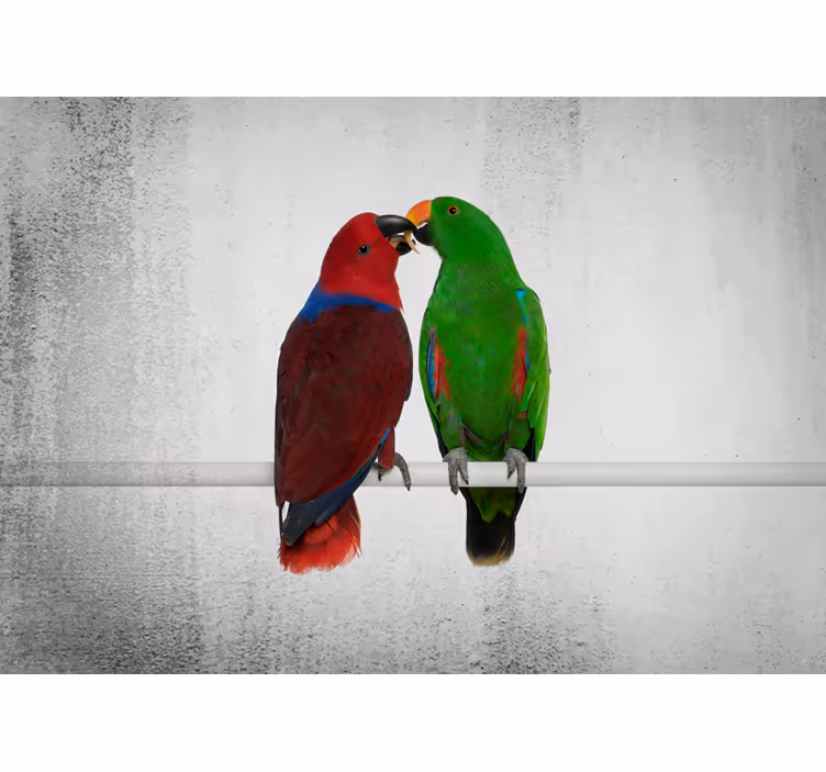 Fotomural animale Abrazar loros - TenVinilo