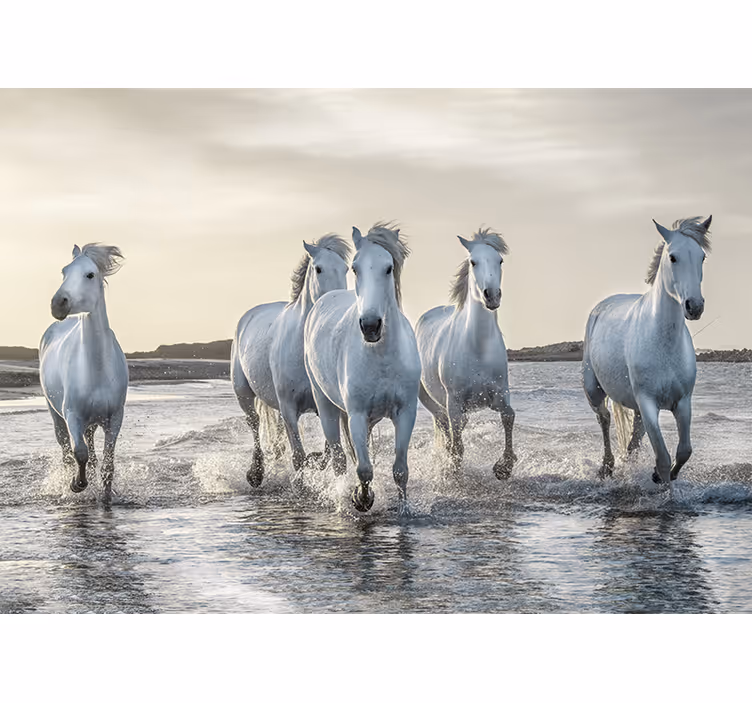Fotomural animale caballos blancos y marrones corriendo en la pla - TenVinilo
