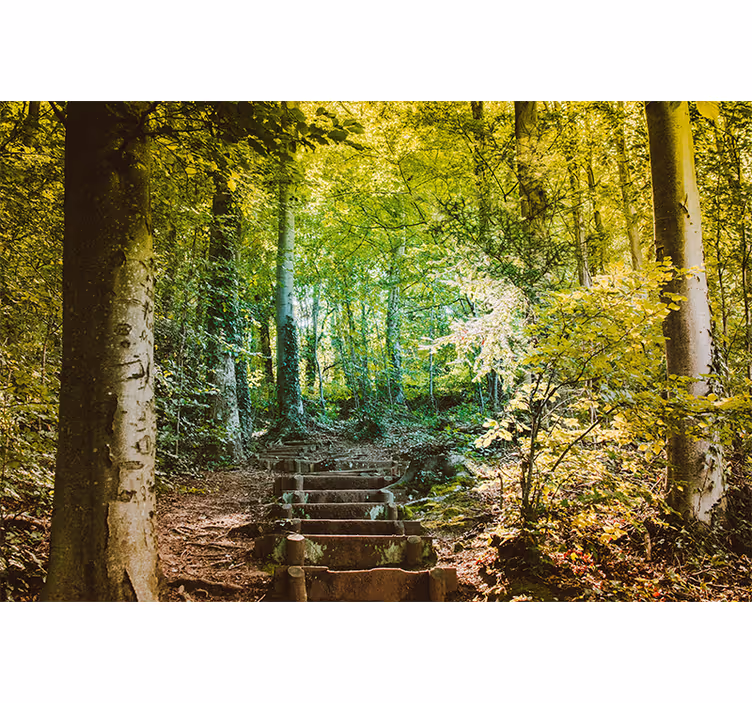 Fotomural bosque camino con escaleras - TenVinilo