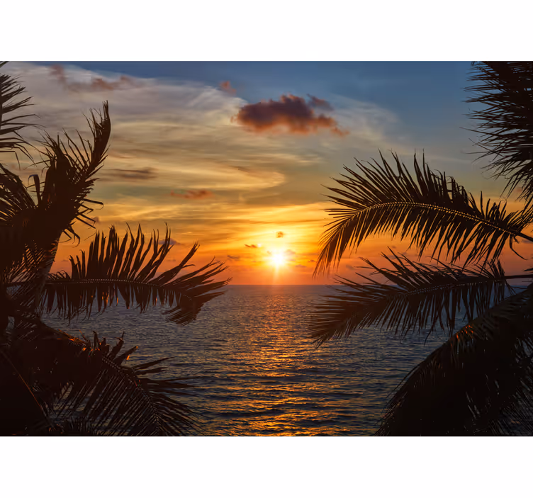 Papel pintado oficina atardecer con palmeras - TenVinilo