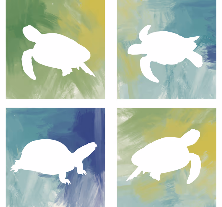 Colorido juego de posavasos de tortuga - TenVinilo