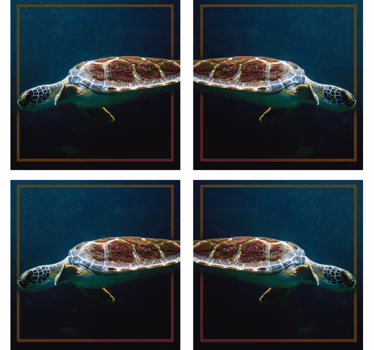 Portavasos moderno imagen de tortuga marina elegante - TenVinilo