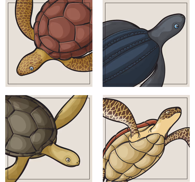Posavasos frikis ilustraciones de tortugas coloridas - TenVinilo