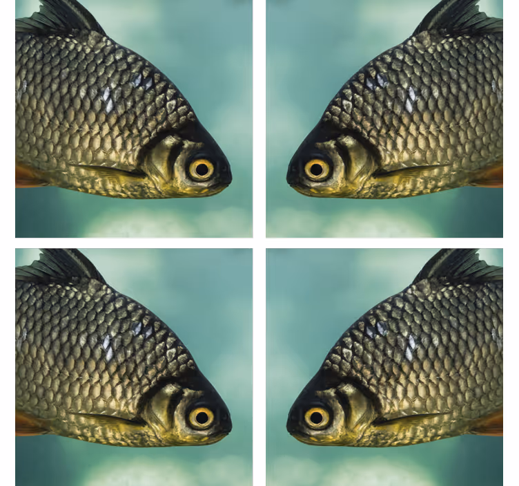 Posavasos frikis imágenes de peces realistas - TenVinilo