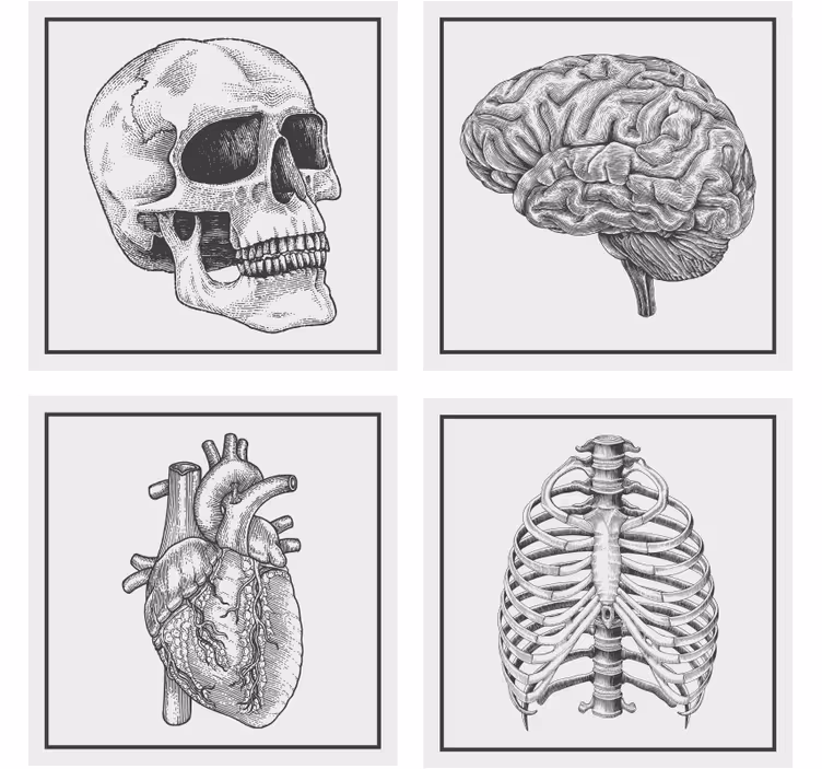 Posavasos frikis calavera cerebro corazón esqueleto - TenVinilo