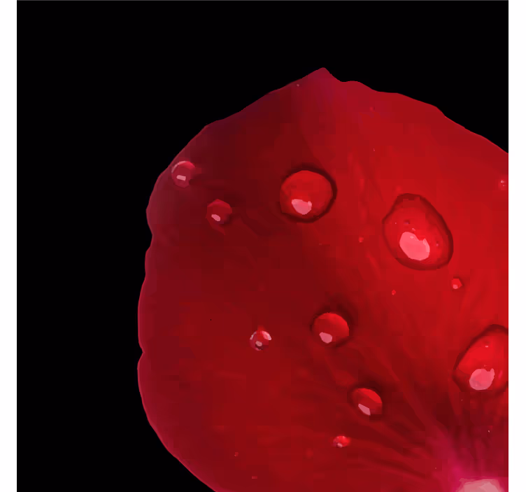 Portavasos pétalo de rosa humedo - TenVinilo