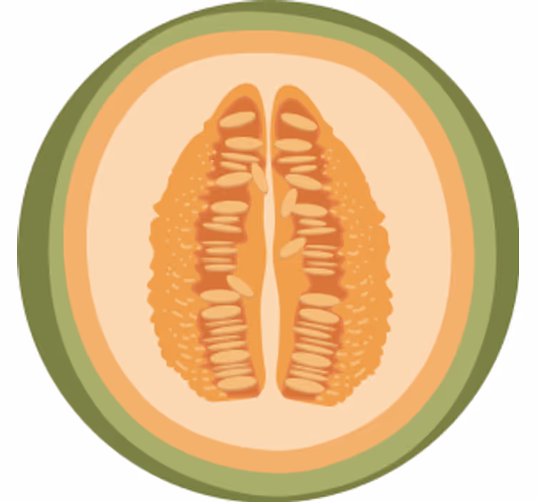 Posavasos frikis con motivos de frutas - TenVinilo