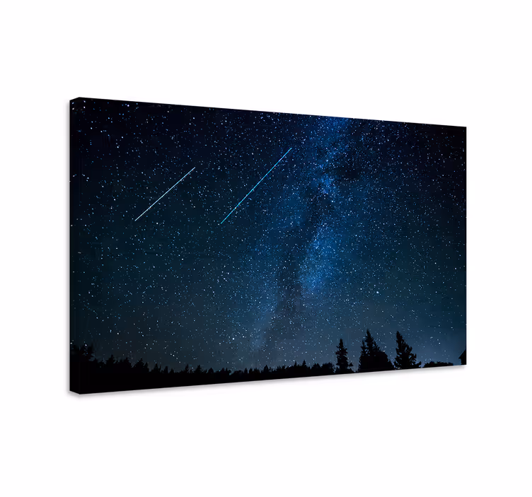 Cuadro azul paisaje de estrellas fugaces hermoso - TenVinilo