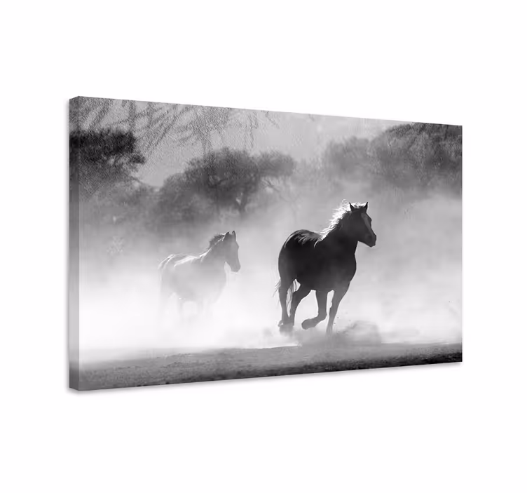 Cuadro caballos blanco y negro - TenVinilo