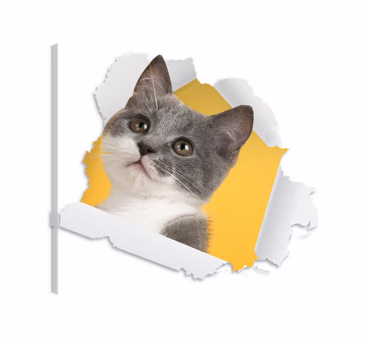 Cuadro de gatos adhesivo 3d de gato - TenVinilo