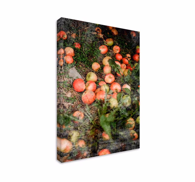 Cuadro bodegones Manzanas caídas con verduras - TenVinilo