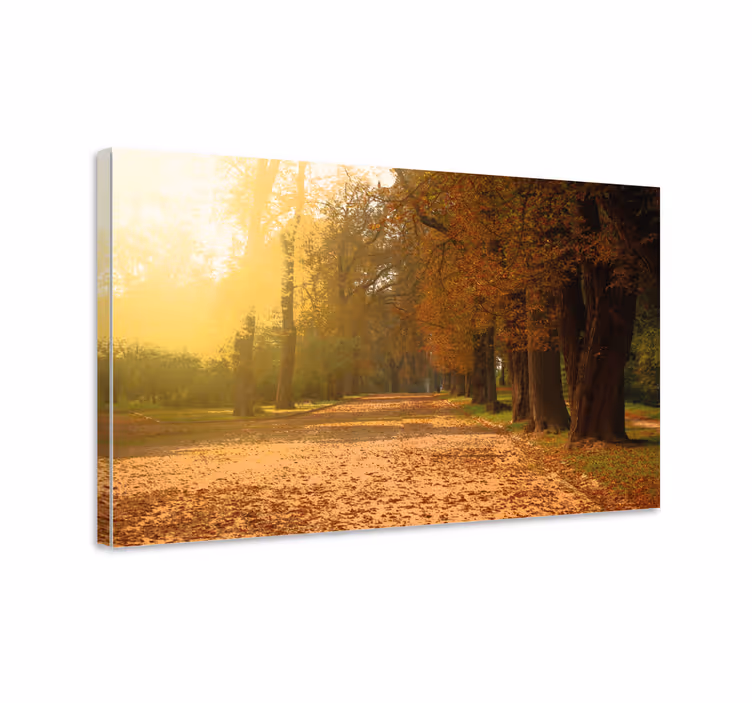 Cuadro paisajes camino de otoño - TenVinilo