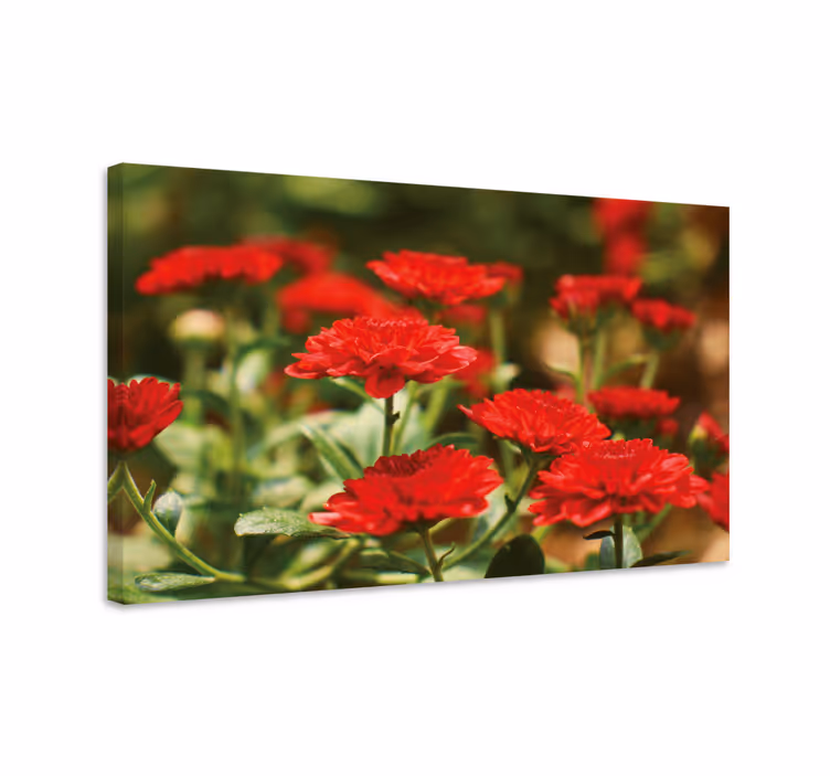 Cuadro de flores Flor alemana de clavo rojo - TenVinilo