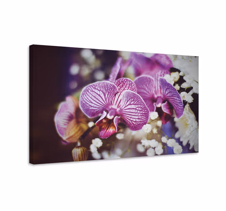Cuadro de flores Orquídea morada con flores - TenVinilo
