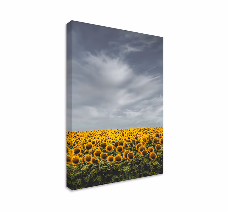 Cuadro de flores Campo de girasol largo - TenVinilo