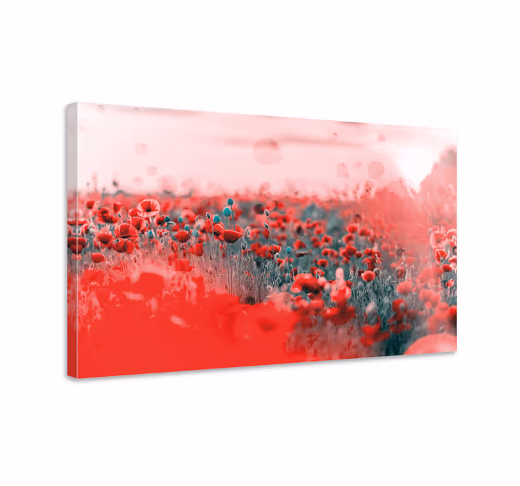 Cuadro de flores pradera de amapolas vivas - TenVinilo